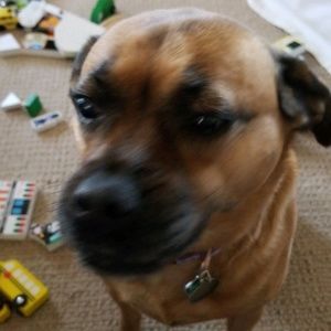 Meet your Posher, Sean